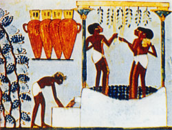Ancient Egyptian medical papyri